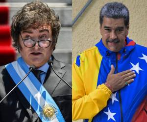 Javier Milei señaló que Argentina no reconocerá un fraude electoral en Venezuela.