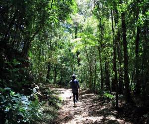 Parque Nacional La Tigra y su abundante vegetación.