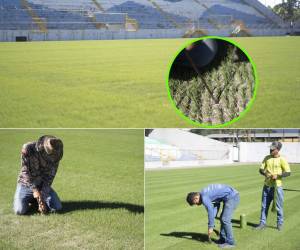 La grama del estadio Morazán se ha cocido en su totalidad, faltan los últimos detalles de la siembra de la semilla para que todo este listo el próximo mes