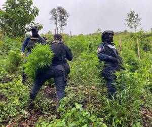 Los agentes policiales tuvieron un enfrentamiento armado con supuestos integrantes de una banda criminal previo al aseguramiento.