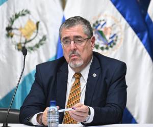 La comunidad internacional, representada por la Unión Europea, la Organización de Estados Americanos (OEA) y algunos gobiernos latinoamericanos, emitió un comunicado conjunto este viernes instando al Congreso de Guatemala a juramentar al presidente electo, Bernardo Arévalo, cuya ceremonia de investidura experimentó un significativo retraso.