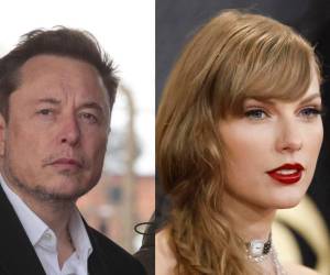 Musk, en tono sarcástico, comentó: “Te daré un hijo y cuidaré a tus gatos con mi vida”.