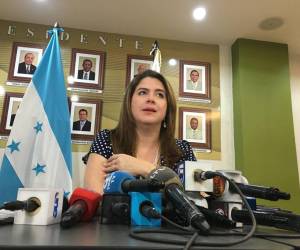 El diputado nacionalista Ramón Carranza expresó su solidaridad hacia la presidenta del CNE.