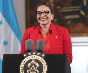 Castro cumplirá en enero su primer año como presidenta.