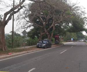 El cadáver del conductor quedó a unos metros de su vehículo.