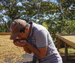 Jóvenes caficultores preparándose para continuar la tradición familiar en la producción de café.