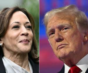 La candidata demócrata a la Casa Blanca, la vicepresidenta Kamala Harris, y su rival republicano, el expresidente Donald Trump (2017-2021), han chocado con sus propuestas sobre inmigración, impuestos, aranceles, aborto y política exterior. Esto es lo que promete cada uno si llega al poder tras las elecciones del 5 de noviembre.