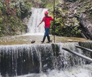 Microcuenca El Manzanal en Danlí, El Paraíso que es parte de las 945 nuevas zonas de protección forestal.