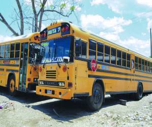 Los buses permanecieron sin circular como medida de seguridad para los transportistas.