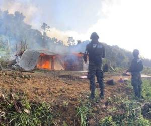 También miembros de la PMOP lograron incinerar dos viveros con 80 mil arbustos de cocaína.