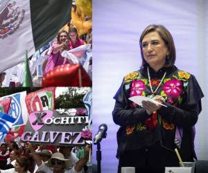 La senadora asegura no tener formalmente un partido, sino unir a la oposición frente a López Obrador. “Soy políticamente daltónica. Sólo veo un color, el color de México”, dijo la oriunda del estado de Hidalgo. Te contamos más sobre la carrera de la política en la siguiente galería.