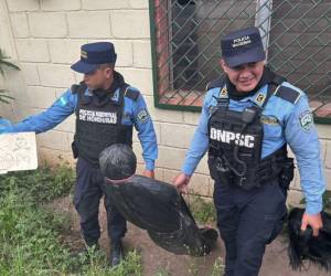 La escena, lejos de ser dantesca, fue motivo de risa para uno de los miembros policiales que sostenía la peluca del falso encostalado.