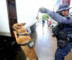 La inspección con perros antinarcóticos es uno de los filtros que deben pasar los vehículos que circulan por la frontera entre Honduras y Nicaragua, aunque investigaciones dicen que hay agentes involucrados en permitir el paso de droga.