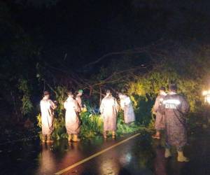 Protección Civil declaró alerta verde a nivel nacional y alerta amarilla en zonas específicas como San Salvador, San Miguel y La Unión.