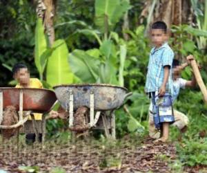 Tras la pandemia, expertos advirtieron que se habían disparado los indicadores de trabajo infantil debido a la profunda pobreza.