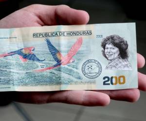 El decreto no solo incluye que Cáceres esté en el billete de 200 lempiras, sino que en las escuelas se enseñe sobre la vida de la ambientalista hondureña y su labor.