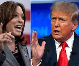 Kamala Harris atrae al voto hispano interesado en la reforma migratoria, mientras que los latinos preocupados por la economía prefieren a Donald Trump.