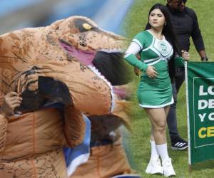 Derroche de bellezas en el Olímpico, la mascota del Marathón al descubierto, el polémico penal en favor del verde y la bronca del equipo sampedrano ante Victoria. FOTOS: Neptalí Romero.