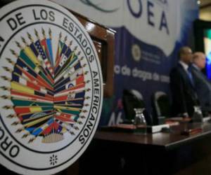 En la convocatoria, no se alcanzaron los votos suficientes para exigir al gobierno de Venezuela transparencia en los resultados de las elecciones del pasado 28 de julio.