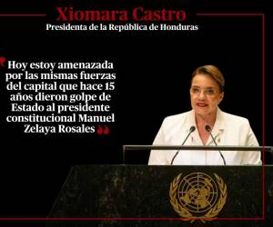 Castro brindó un discurso en la 79ª Asamblea General de la Organización de las Naciones Unidas (ONU) en el que se refirió a diversos temas como las consultas populares. A continuación sus frases más puntuales.