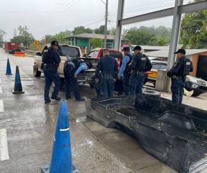 Los agentes policiales realizaron una minuciosa inspección en el vehículo pick up y en un compartimiento falso encontraron los 40 paquetes rectangulares de cocaína.