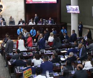 Tras 47 días después, los diputados del Congreso Nacional retomaron la agenda legislativa, la cual inició entre discusiones de diputados del partido Libre y el Partido Liberal. A continuación, más detalles.