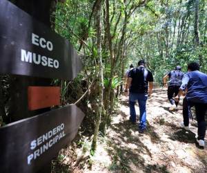 El lugar perfecto para desconectarse de la ciudad y conectarse con la naturaleza.