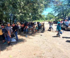 Campesinos se dedican a invadir fincas de bananos en Colón.