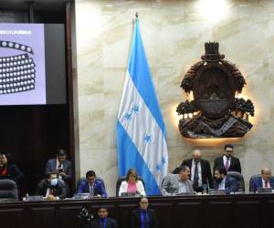 León ratificó que hasta el 23 de enero deberá ser electa.