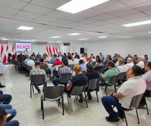 En el Partido Liberal se está analizando una posible alianza electoral con Libre, al menos así fue reconocido por un grupo de alcaldes que se reunieron con Manuel Zelaya.