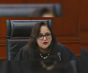 Especialista en derecho constitucional, Norma Lucía Piña, encabezará el máximo tribunal hasta 2026.