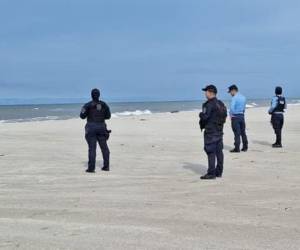 La experta Gabriela Ochoa subraya que los tiburones suelen confundir a las personas en aguas turbias y recomienda precaución.