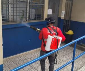 Los equipos de fumigación contra el dengue andan bien identificados con sus respectivos chalecos, gorras y carné de la Alcaldía Municipal.