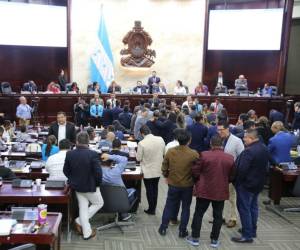 El presidente del Congreso Nacional, Luis Redondo, suspendió la sesión sin entrar en detalles de cuándo volverán a ser convocados los diputados a legislar.