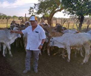 El nicaragüense es dueño de varias cabezas de ganada en Honduras, entre otros bienes.