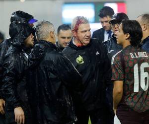 Al ir a saludar al seleccionador hondureño, Reinaldo Rueda, el técnico mexicano recibió el impacto del objeto en la cabeza.