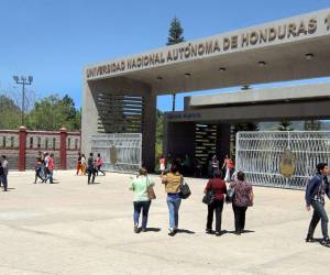 La demanda radica en la molestia generada al Sidunah por una denuncia que el rector Fernández interpuso en el MP contra un juez ejecutor.