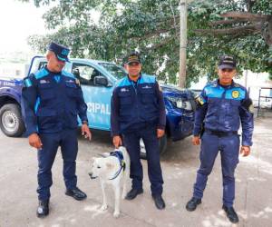 Los elementos de la Policía Municipal y Abuelo, un perro rescatado de la calle, son parte de la Unidad Canina.