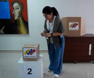 Los países de la ADD señalaron que en las elecciones “la voluntad del pueblo venezolano, fundamento de la democracia, debe ser acatada”.