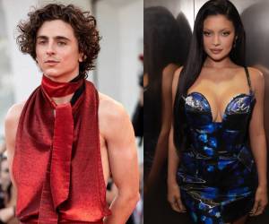 Desde hace seis meses se rumoraba que Timothée Chalamet y Kylie Jenner tenían una relación amorosa.