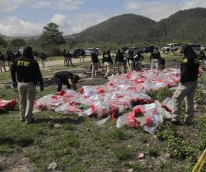 Las autoridades preparan la incineración de la cocaína.