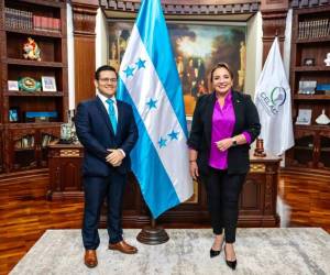 La presidenta Xiomara Castro juramentó este lunes a Wilmer Javier Fernández.