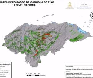 Las zonas pintadas de rojo representan las que tienen mayor daño.