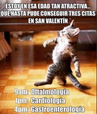 Día del Amor y la Amistad: Divertidos memes para parejas, solteros y amantes