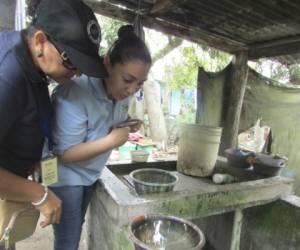 Las acciones para combatir el dengue continúan en el municipio de Danlí.