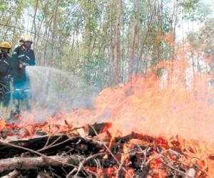 Hasta unos 12 mil galones se emplean para apagar el fuego en un incendio forestal, lo que equivale a 45 metros cúbicos de agua, una elevada cifra si se compara con los problemas de escasez de agua en la capital.