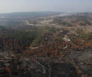 Esta zona devastada en Zambrano refleja el impacto de los incendios forestales. Adiós al rostro verde.