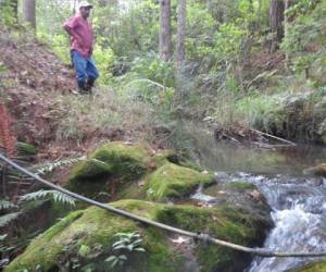 De las vertientes que nacen en la reserva biológica de Yerba Buena se abastece el 64% del agua que consumen los capitalinos.