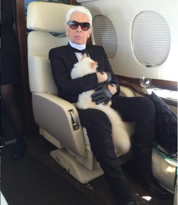 Choupette, la gata de Karl Lagerfeld que heredará parte de su fortuna