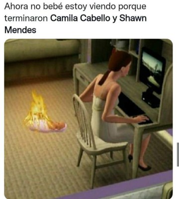 ¿Con quién se queda el perro? Los memes que dejó la separación de Camila Cabello y Shawn Mendes